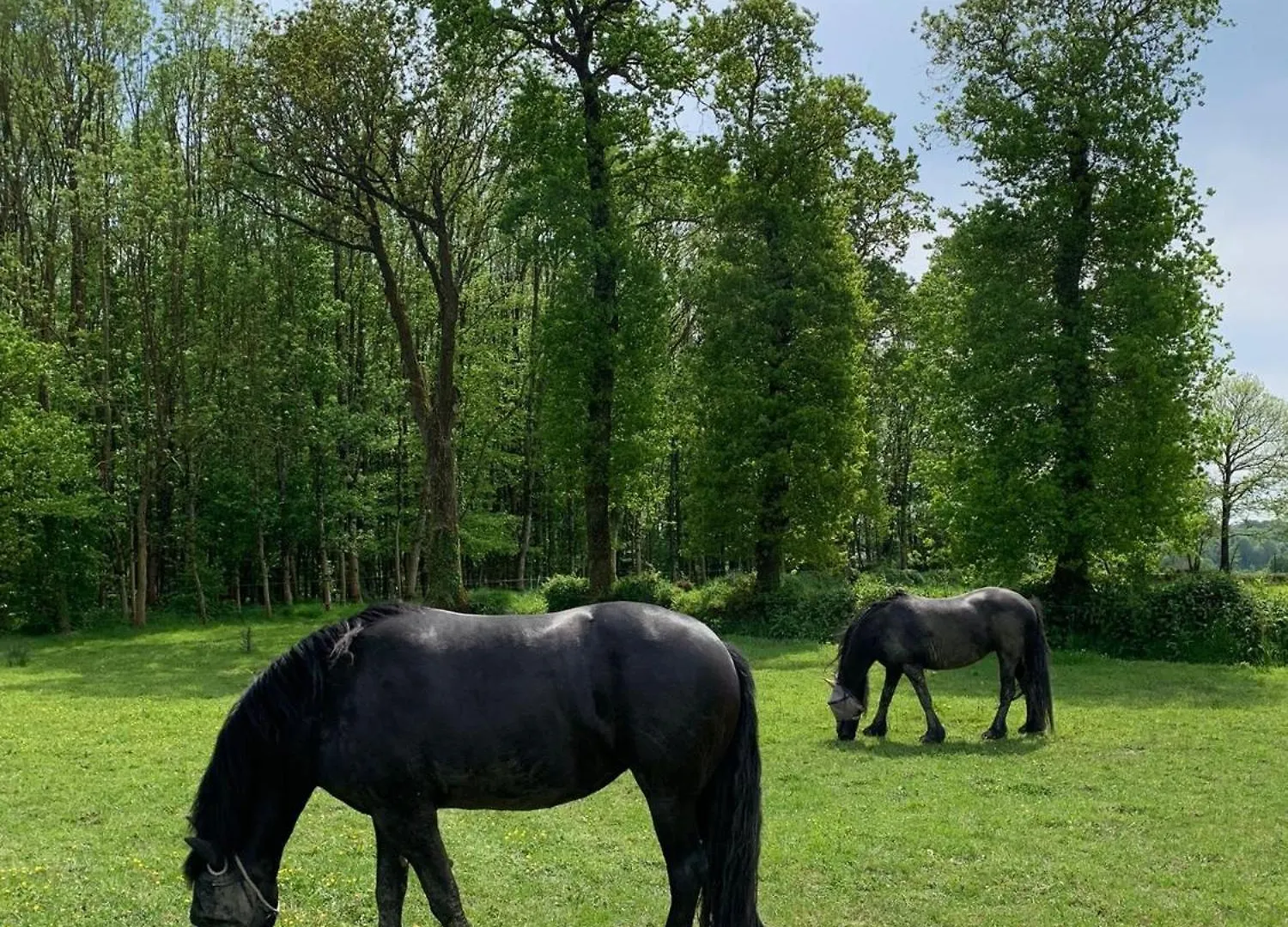 Semesterbostad La Maison Des Chevaux Saint-Vran